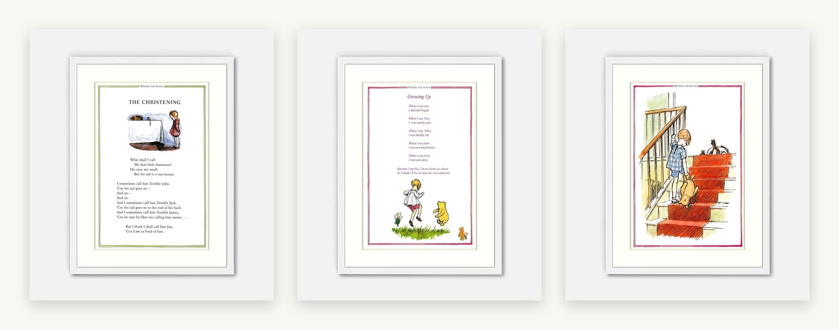 The New Arrival Set